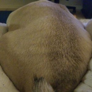 Meet your Posher, Travis